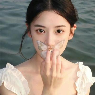 白桦林中的哨所