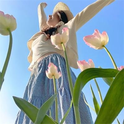 这里的黎明静悄悄